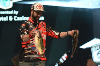 E5FD9EF9-54A6-4FC1-B1C7-C2C590EFABFE