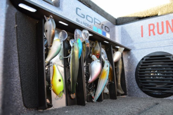 E8D16F71-AD60-45F6-899A-478DFBB4FA0F