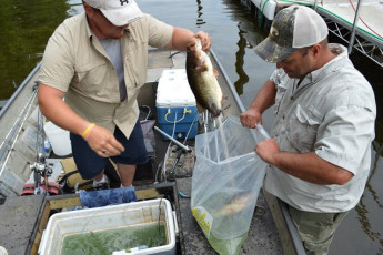 EDE93FF4-7113-4385-8E7B-5022AAEC8177