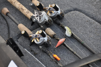 EE4771D9-0F9F-4C0A-95C9-6D568E0BCBC5