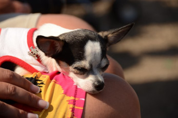 EF849A75-A062-491B-BC9A-EEDFF310CB95