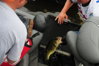 F350050A-80CC-4678-B9D7-8DE71AD8D2E2