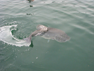 F4195C1B-C0EF-4624-BB74-C19D269B7EE0