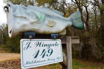 F4628996-F503-4662-8B23-4D0E196B798B