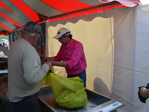 F68C13D4-3038-439B-8A60-0EA5F1D53E52