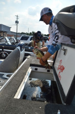 FA03F22A-0817-4A68-A410-C464A0AF2AF7