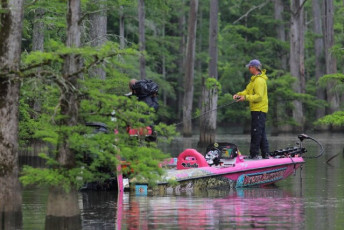 FD44D581-12DE-465E-823C-2A50ED1B8913