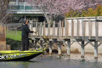 FEAB082C-6E4A-4DF9-81F9-EF8F85B765DF