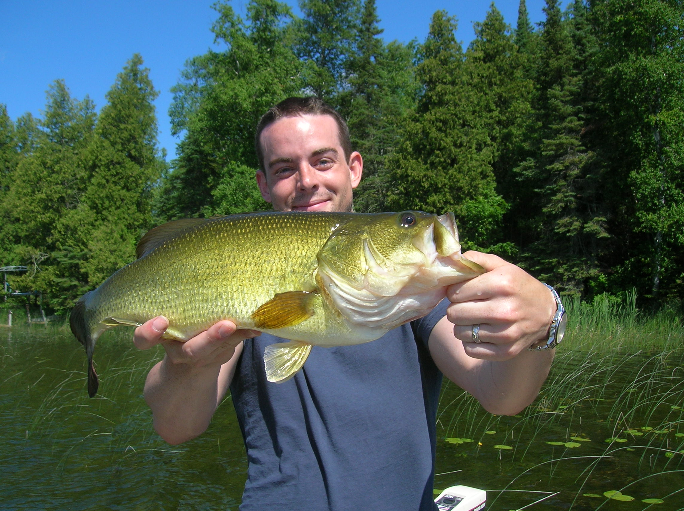 Big Bass caught on Turtle Lake in Marcell, MN on 7/6/2008 BassFIRST