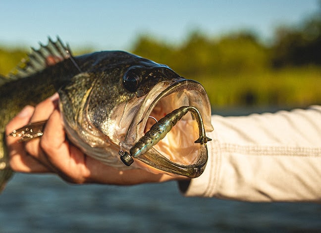 Is The Z-Man GOAT The MOST VERSATILE Soft Bait Of All Time? THESE Are Ways  To Fish & Rig It! 