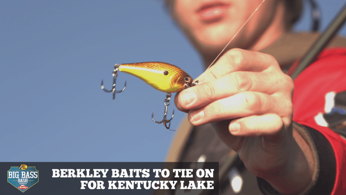 Berkley Baits To Tie On For Kentucky Lake BassFIRST