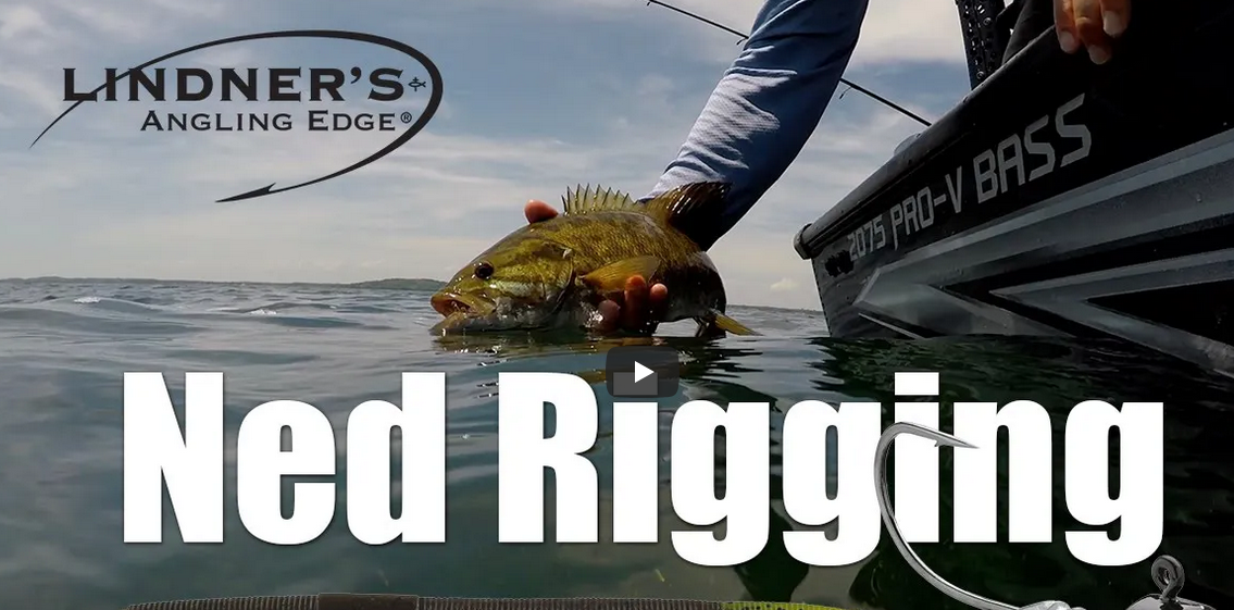 Ned Rigging Lindner’s Angling Edge BassFIRST