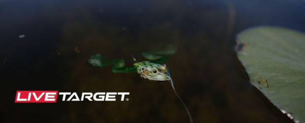 Form Meets Function in the LIVETARGET ULTIMATE FROG