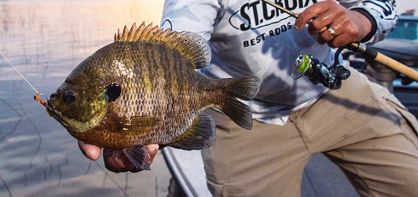 The Best Bluegill Action from St. Croix