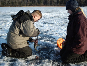 0302E5F9-36B8-42CA-91C3-D63BE67E4F11