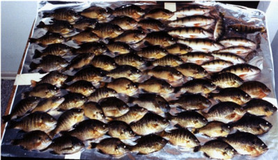 05FB5619-16C3-4F87-89A6-11FEFD726F60