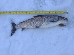 09DE719B-33F9-4CBB-8969-631209E80378