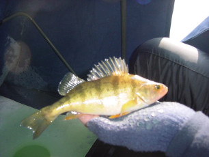 0BD3AFF7-6E7B-4364-964F-293A909D1B61