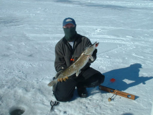 1FB3FE34-51F7-4CA4-BA1B-53026A7DA77B