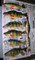 2131EE0D-F2D9-434A-8934-D6916A4C3749