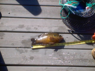 2557A158-C241-4D68-ACDA-AB97834FE93F