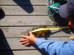 29CA5431-CC84-4E7F-909F-6C2223E431D4