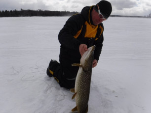 2FDF86F5-9EDA-4E28-8162-096B3922BD8C