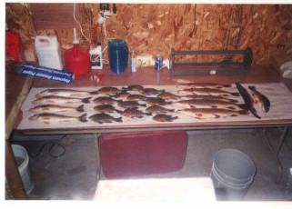 31DCC148-D063-4548-BE60-B57D5E2F96F7