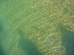 32D1F7A0-D2CB-4DD4-B75D-2474E7283E76