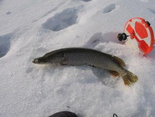 346FE93F-89A6-4CE2-BB4B-5206F893AF93