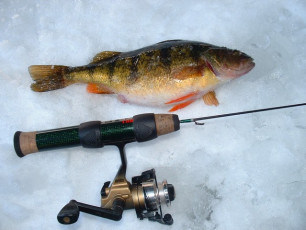 36E50529-BDE1-4EE6-A814-9EBF82CD96A8