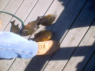 3CE9C043-59BF-4C1B-9456-BEA0FA223F2D