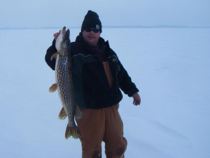 4602FA53-6FE3-40D9-AB10-344C11A3BA10