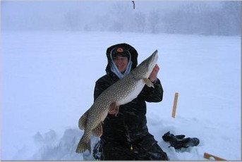 467318D5-704C-4C57-BD18-DCE369F77065