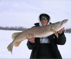 4E873779-7BDA-40D7-9608-E33400727224