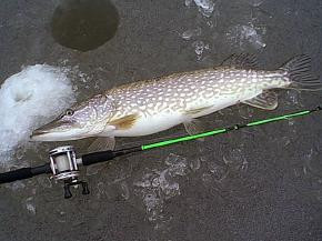 5195EFC1-6CE9-44EE-8FFE-456B58E5B4CA