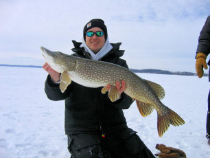 532A91B7-B5FF-43EB-A83C-3ADD1E61D653