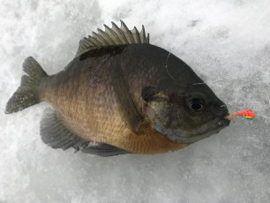 5446BE00-BE2B-4E61-9A49-401384995BE9