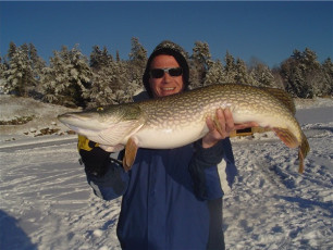 55638974-A6D7-4FD1-AD63-91ED20AA212C