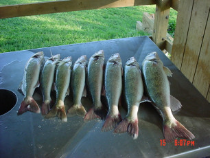 5AFEE304-A4D2-4874-A8BD-38A218E1A178