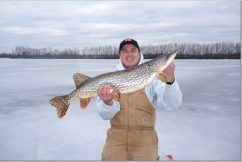 5B6F36EF-B5C6-4F2C-A4FD-178015F35F14