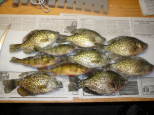 637B53A8-DABC-473D-8CB4-87CEEF7677FD