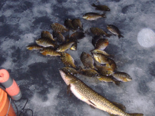 65E718C8-0FB5-466E-98D2-DDCE9D7B30A8