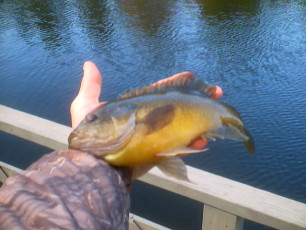 670D628E-2C77-4435-A446-C4E703ECE134