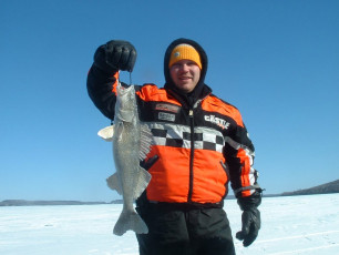 6F77C88D-41C2-420C-A1E5-7632775FA041