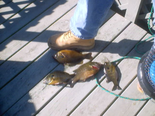 75799813-7576-406D-BB53-7482A7EC39E6