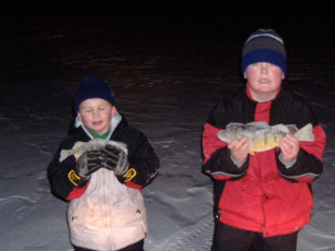 7755427D-738A-418F-95B6-422E6C37DDA0