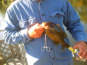 7917FCB1-FE39-4A32-B395-88DB1D36B789