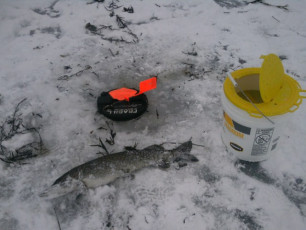 811B2278-C438-49D6-ABCB-C0469F1F1753