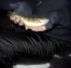 818CBB5E-4F4B-4828-BBBA-B0D94CA5E5BA